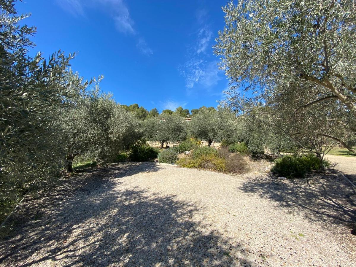 Gite La Maison Dans L'Olivette Oraison Kültér fotó