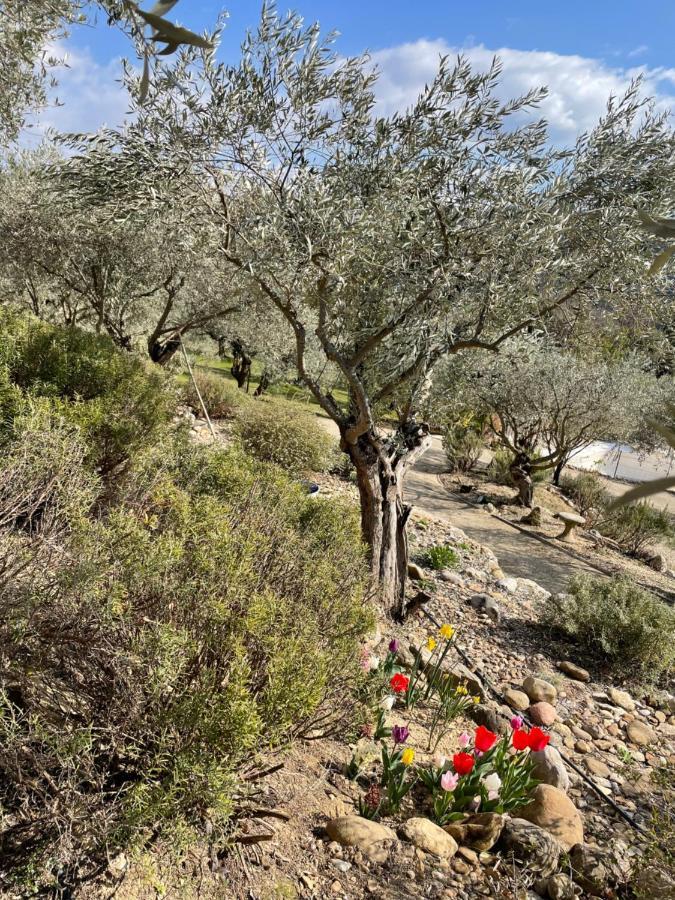 Gite La Maison Dans L'Olivette Oraison Kültér fotó