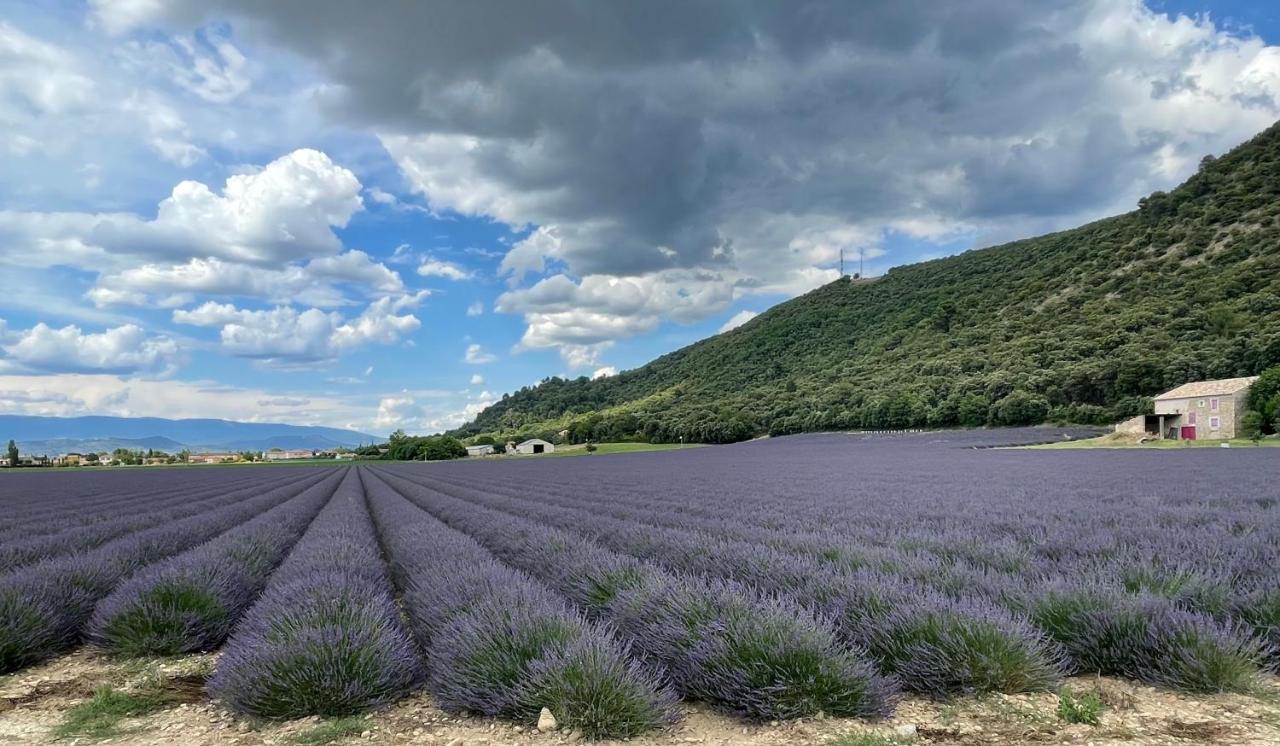 Gite La Maison Dans L'Olivette Oraison Kültér fotó