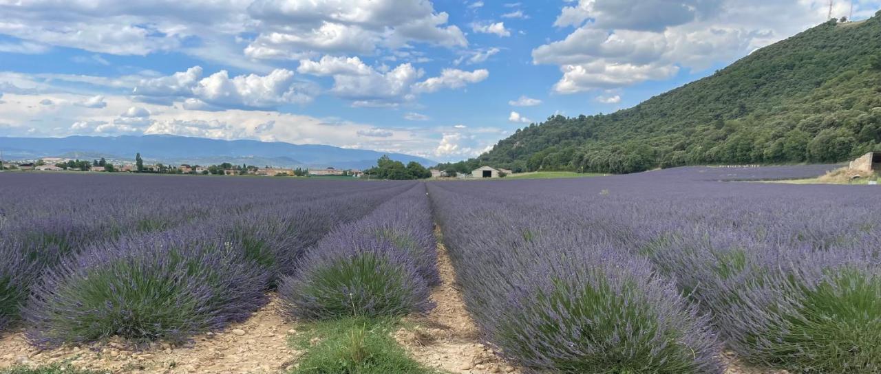 Gite La Maison Dans L'Olivette Oraison Kültér fotó